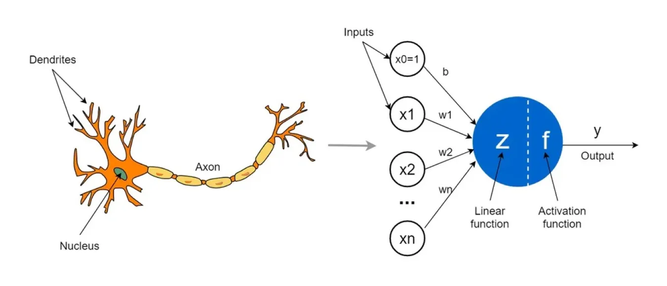 Schema perceptron